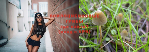 ALPHA PVP Волосово